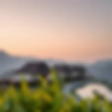 Magnificent Exploring Hatta's Resorts: A Comprehensive Overview