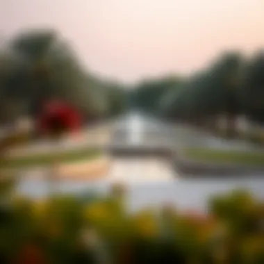 Al Reem Park: A Comprehensive Guide to Dubai's Urban Oasis Introduction