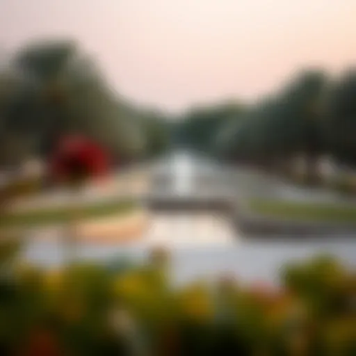 Al Reem Park: A Comprehensive Guide to Dubai's Urban Oasis Introduction