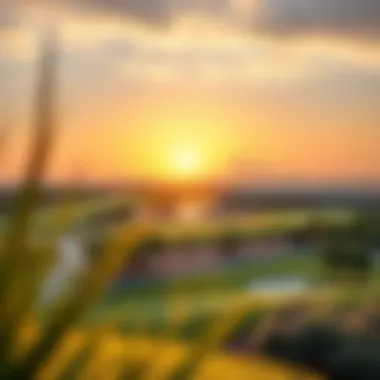 Sunset Serenity at Emirates Golf Club Stunning sunset view over the Emirates Golf Club extending towards the Dubai skyline