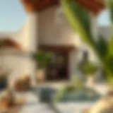 Exploring Dubai Farmhouses: A Comprehensive Guide Introduction