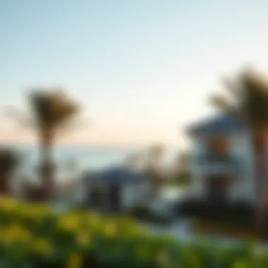 Lush Landscaping and Beachfront Properties Lush landscaping and beachfront properties on Palm Jumeirah