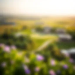 Aerial view of Springs Meadows showcasing its lush greenery and scenic landscapes