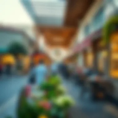 Local market scene in Springs Meadows highlighting shopping and dining options