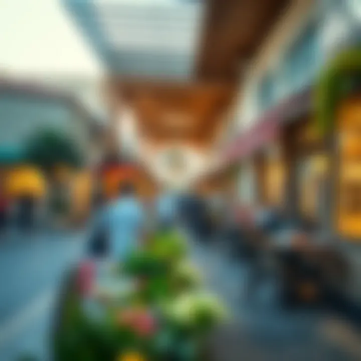 Local market scene in Springs Meadows highlighting shopping and dining options