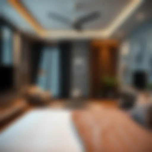 Cozy studio room showcasing modern decor