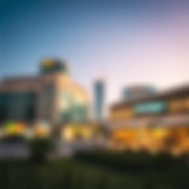 Exploring the Timeout Market in Dubai: Insights and Opportunities Summary