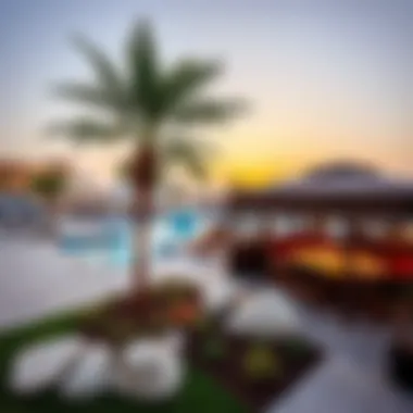 Exploring Yas Island: A Comprehensive Guide to Must-Visit Attractions Summary