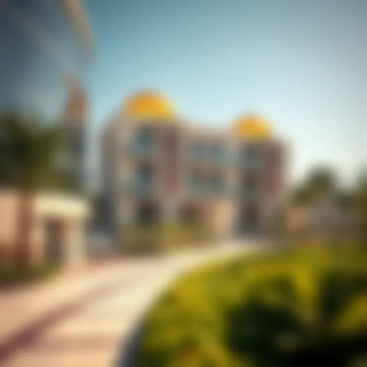 Understanding the Dubai TIN Number: A Comprehensive Guide Summary