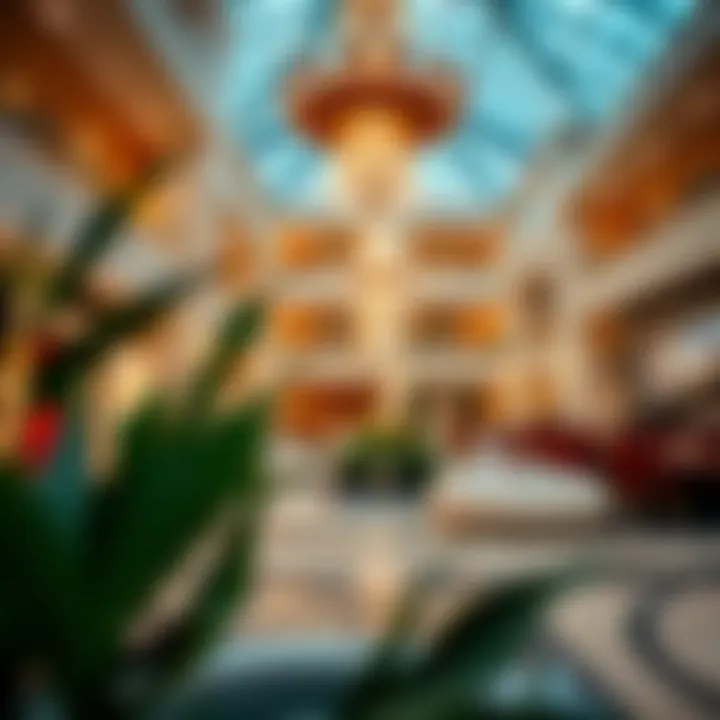 Amenities available in Vida Dubai Mall enhancing lifestyle experience